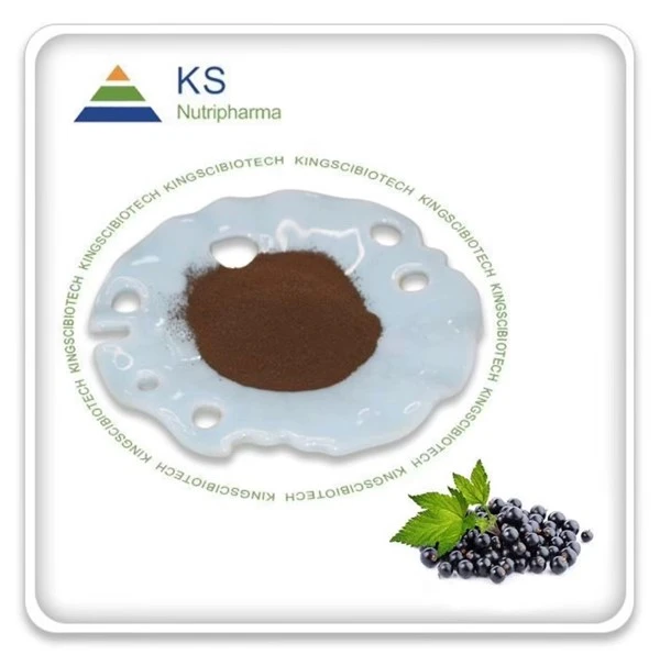 Black Currant Extract Black Currant Extract